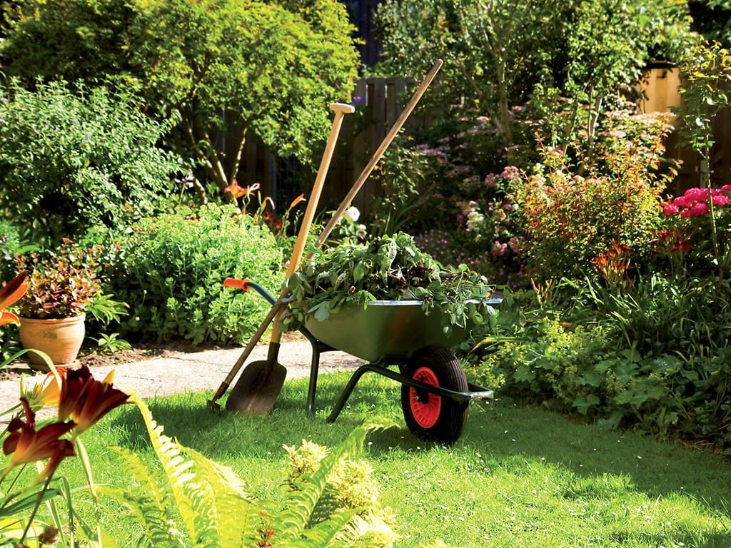 Création de jardin paysager pour syndics de copropriété